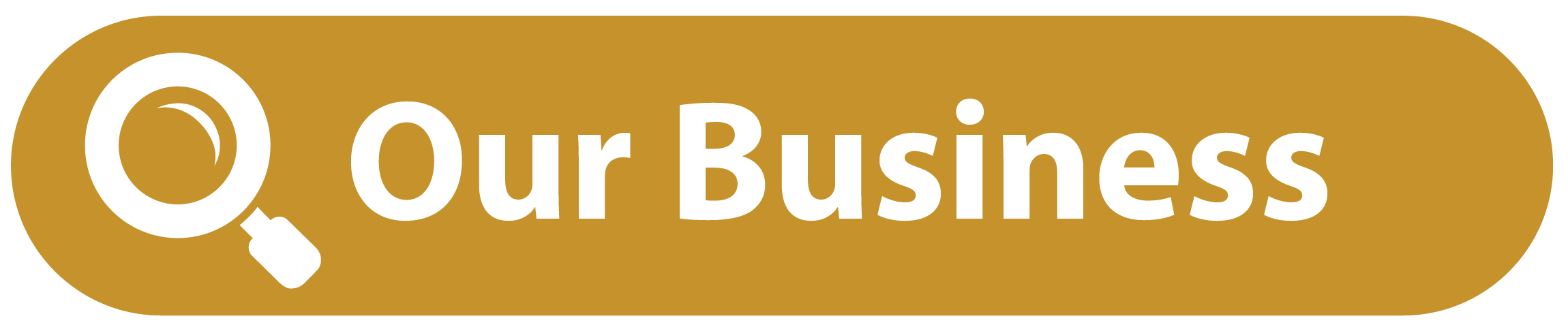 Our Business