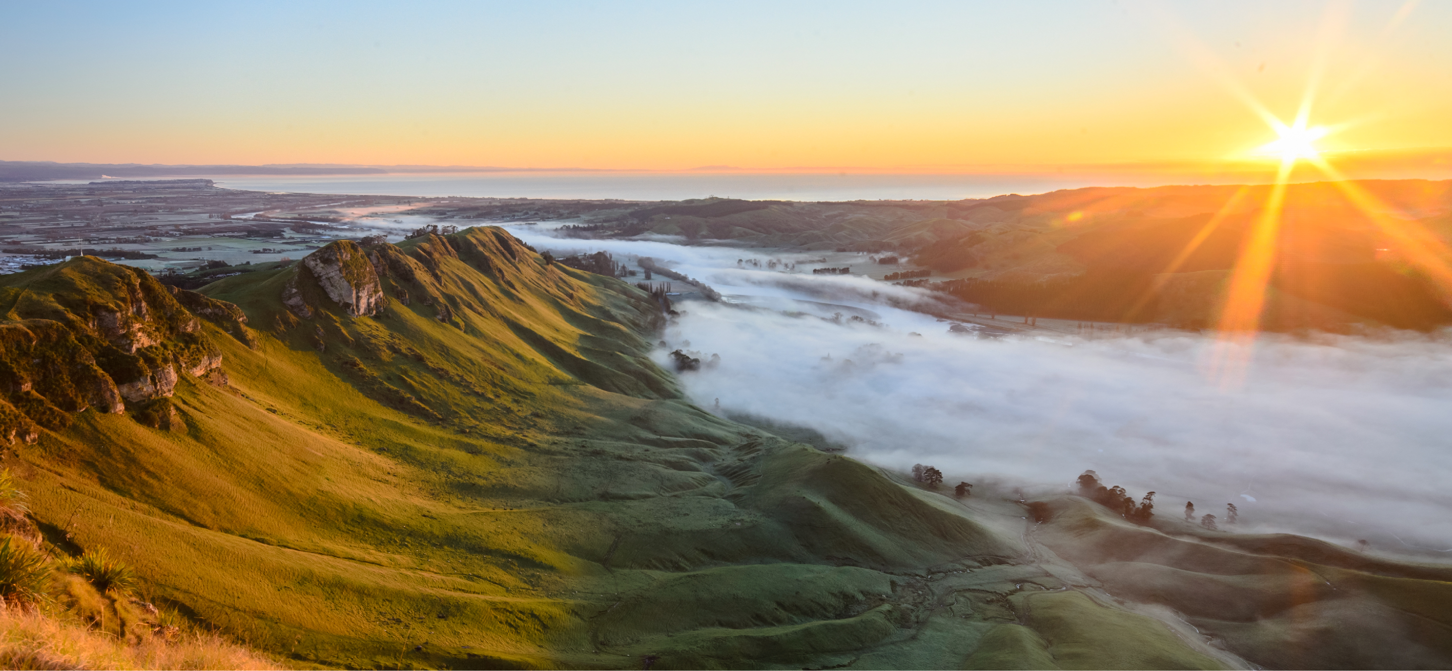 New Zealand dairy landscape